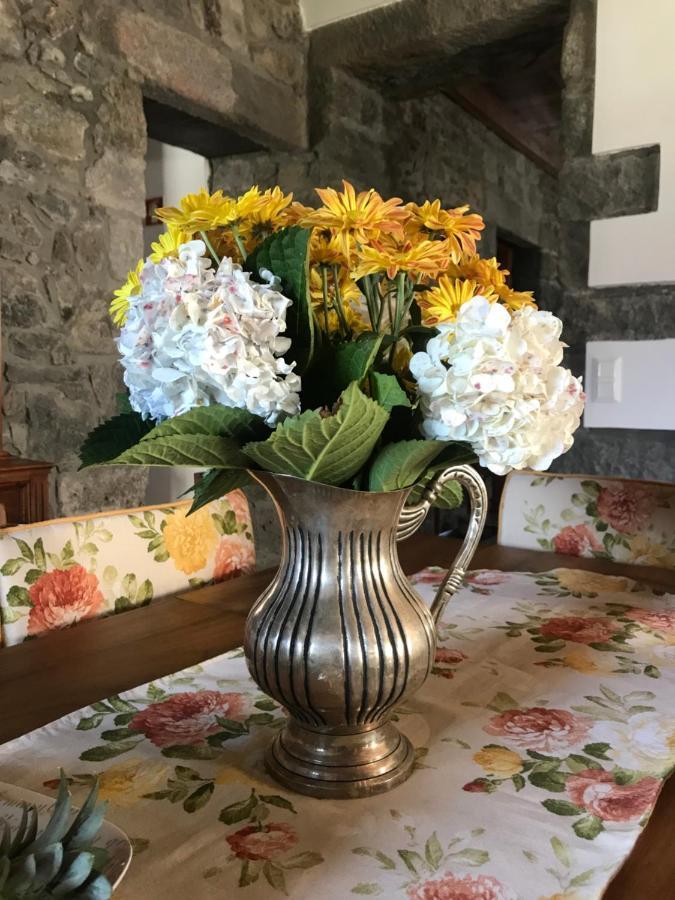 Charming Green Country House Nordestinho Ngoại thất bức ảnh